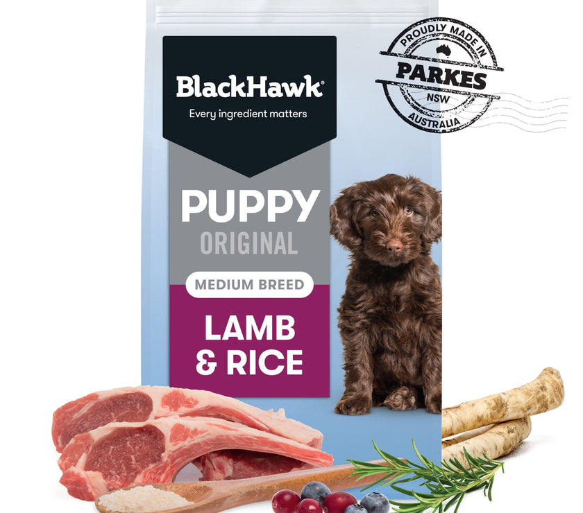 Black Hawk – Puppy – Medium Breed – Lamb & Rice - The Pet Standard