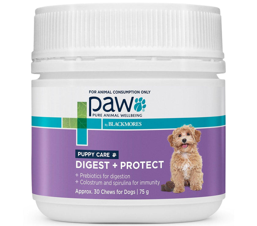 Blackmores: Paw – Digest + Protect – Chews for Puppies - The Pet Standard