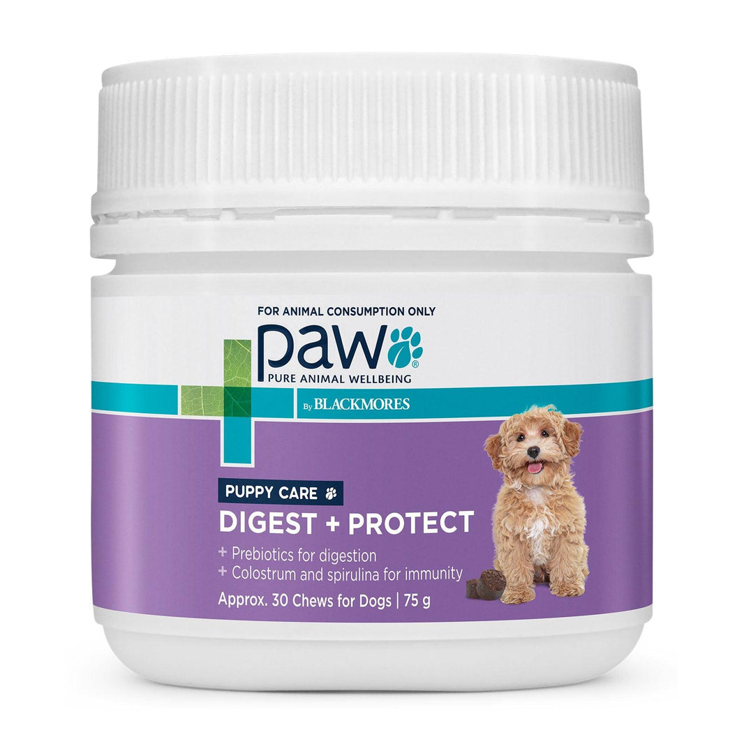 Blackmores: Paw – Digest + Protect – Chews for Puppies - The Pet Standard