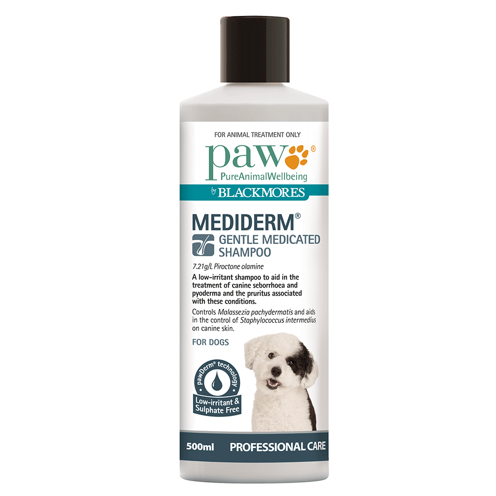 Dog Medicated Shampoo