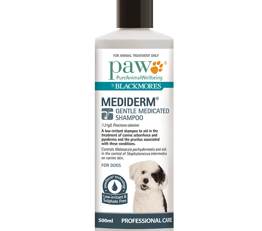 Blackmores: Paw – Mediderm – Gentle Medicated Shampoo - The Pet Standard