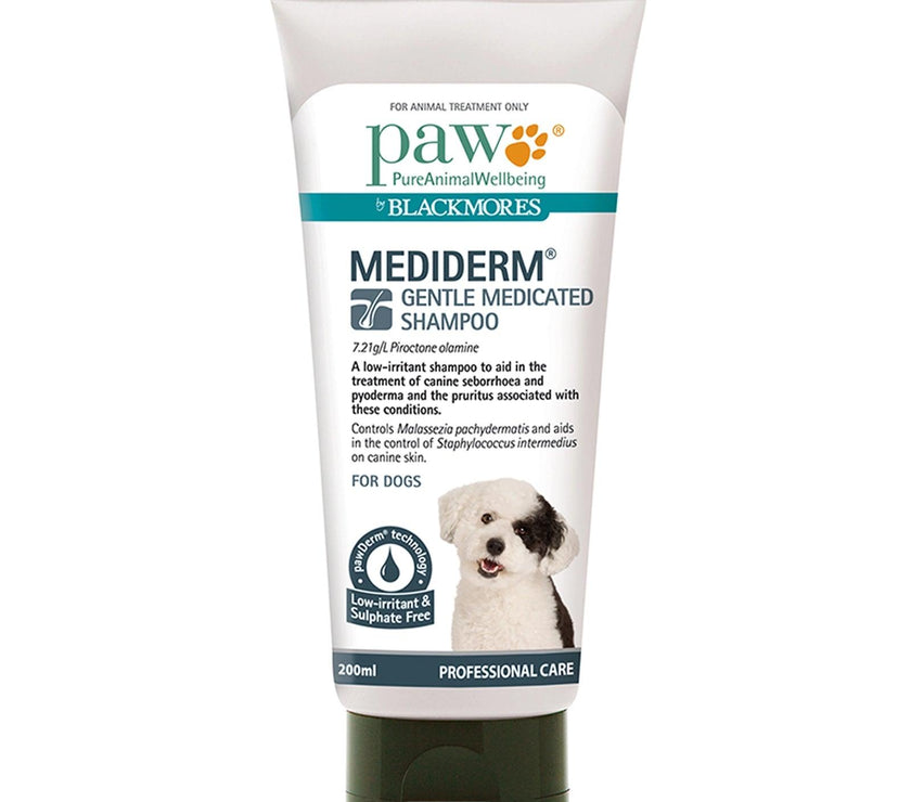 Blackmores: Paw – Mediderm – Gentle Medicated Shampoo - The Pet Standard