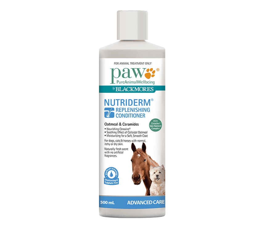 Blackmores: Paw – NutriDerm Replenishing Conditioner - The Pet Standard