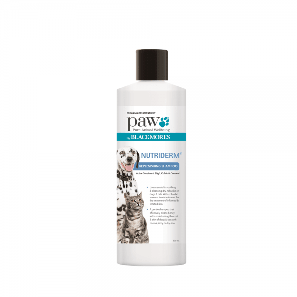 Blackmores: Paw – NutriDerm Replenishing Shampoo - The Pet Standard