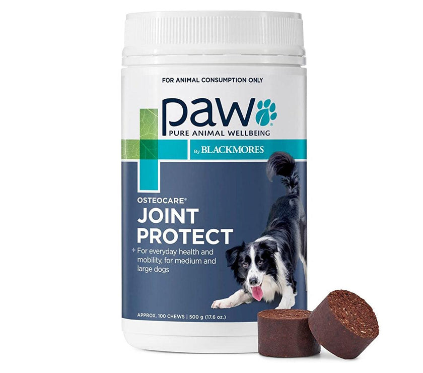 Blackmores: Paw – Osteocare – Joint Protect Chews - The Pet Standard