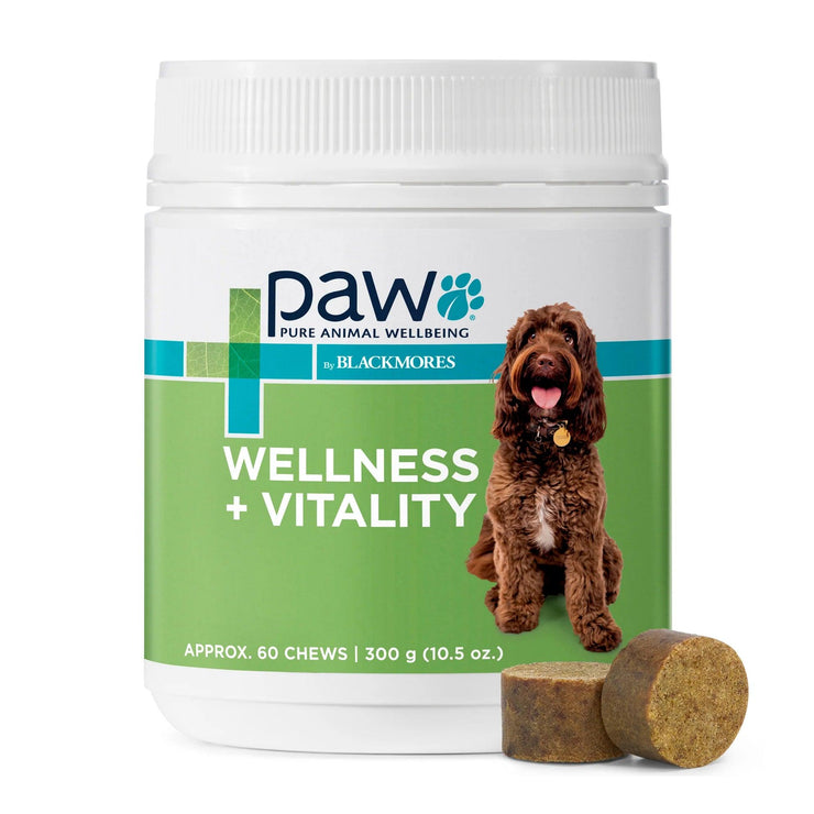 Blackmores: Paw – Wellness + Vitality Chews - The Pet Standard