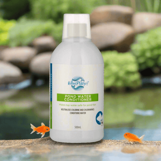 Blue Planet – Pond Water Conditioner - The Pet Standard