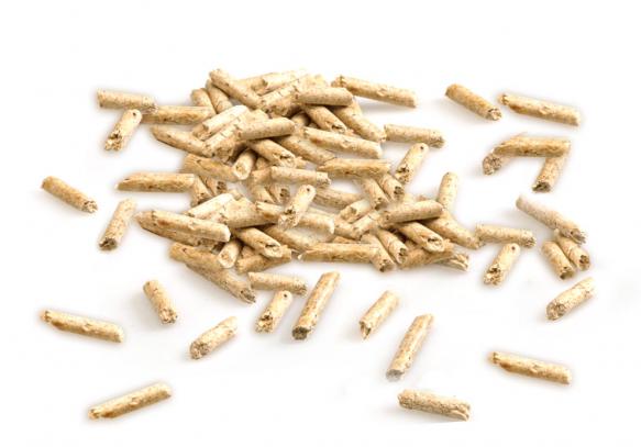 Cat’s Best – Smart Pellets - image 3