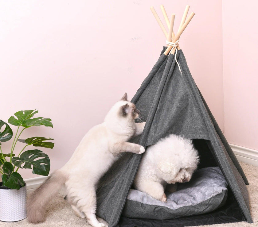 Charlie’s – Pet Teepee Tent – Charcoal - Extra Large - The Pet Standard