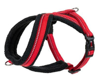 Company of Animals – Halti – Comfy Harness - The Pet Standard