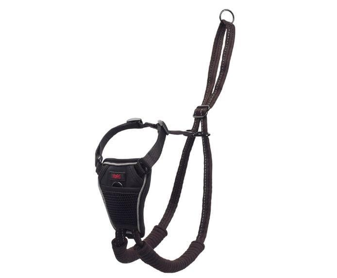 Company of Animals – Halti Dog Harness
