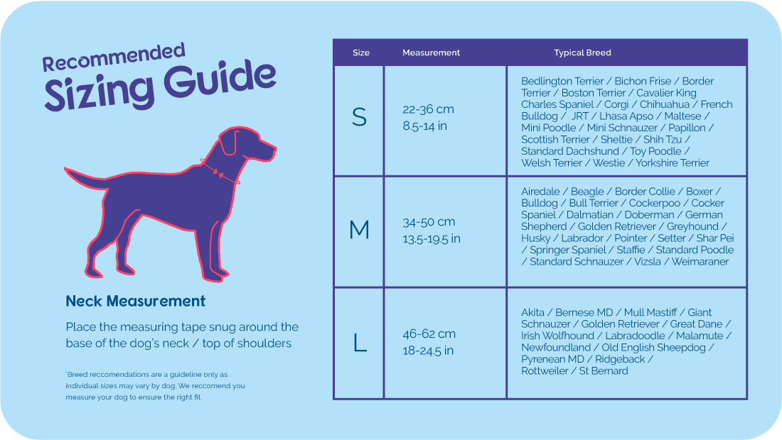 Company of Animals – Halti – No Pull Harness - The Pet Standard