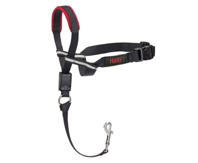 Company of Animals – Halti – Optifit Headcollar - The Pet Standard