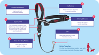 Company of Animals – Halti – Optifit Headcollar - The Pet Standard