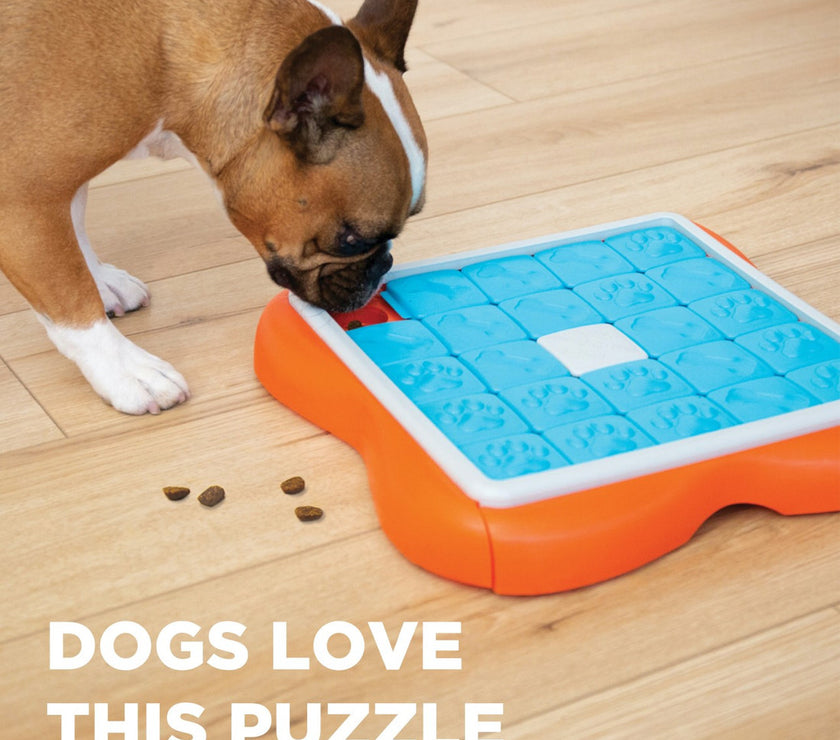 Outward Hound – Nina Ottosson – Dog Challenge Slider (Level 3)