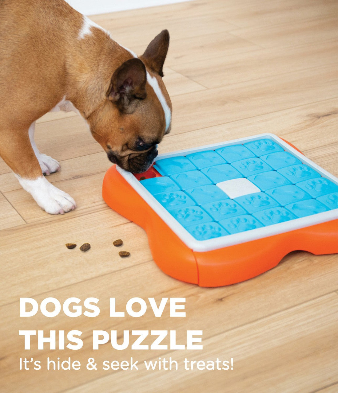 Outward Hound – Nina Ottosson – Dog Challenge Slider (Level 3) - image 5