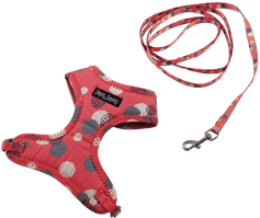 Dan & Sam – Cat – Harness & Lead Set - The Pet Standard