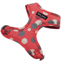 Dan & Sam – Cat – Harness & Lead Set - The Pet Standard