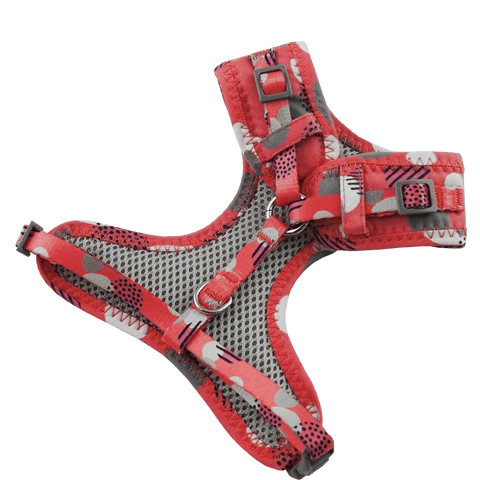 Dan & Sam – Cat – Harness & Lead Set - The Pet Standard