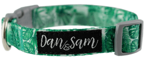 Dan & Sam – Dog – Adjustable Polyester Webbing Collar – Lahana - The Pet Standard