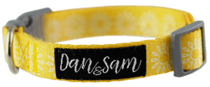 Dan & Sam – Dog – Adjustable Polyester Webbing Collar – Sunflower - The Pet Standard