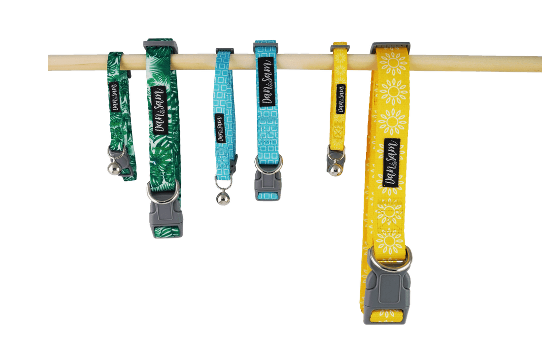 Dan & Sam – Dog – Adjustable Polyester Webbing Collar – Sunflower - The Pet Standard