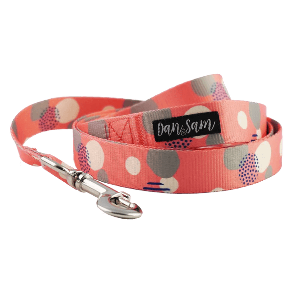 Dan & Sam – Polyester Webbing Lead – Fabulous - The Pet Standard