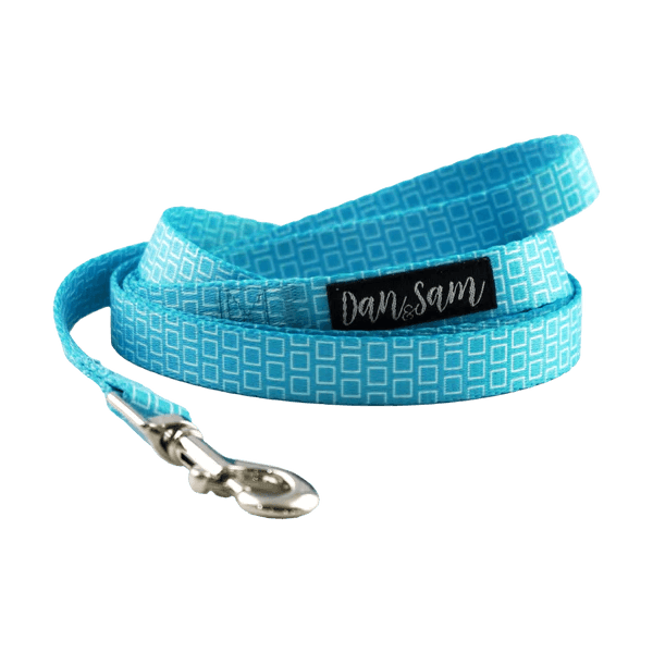 Dan & Sam – Polyester Webbing Lead – Grooving - The Pet Standard