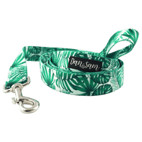 Dan & Sam – Polyester Webbing Lead – Lahana - The Pet Standard