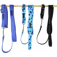 Dan & Sam – Polyester Webbing Lead – Lahana - The Pet Standard