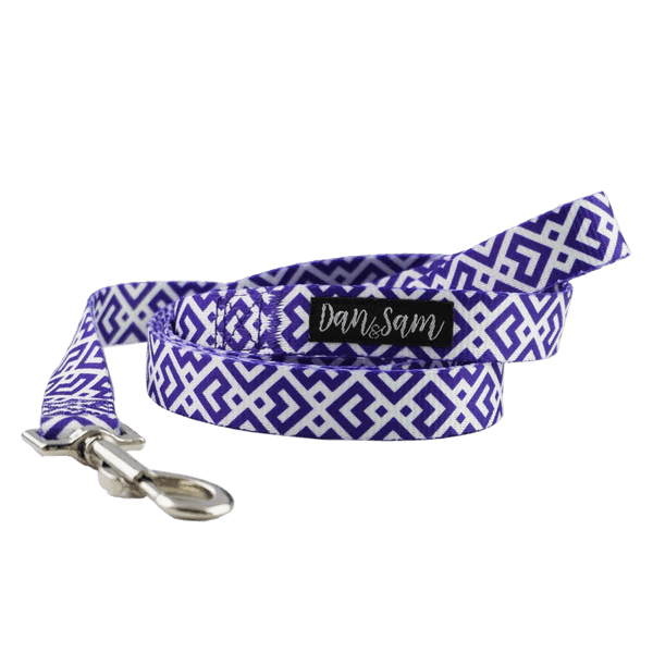 Dan & Sam – Polyester Webbing Lead – Purple Delight - The Pet Standard