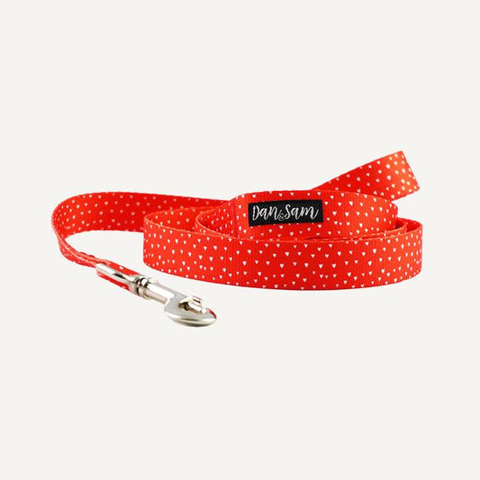 Dan & Sam – Polyester Webbing Lead – Raining Hearts - The Pet Standard