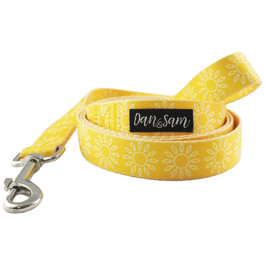 Dan & Sam – Polyester Webbing Lead – Wild Sunflower - The Pet Standard