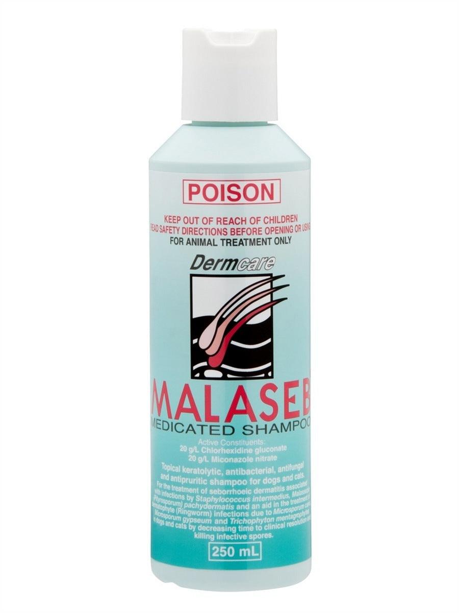 Dermcare – Malaseb – Medicated Shampoo - The Pet Standard