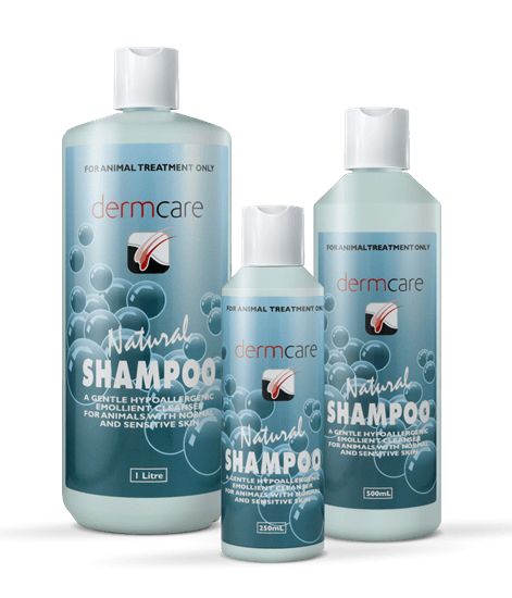 Dermcare Dog Shampoo