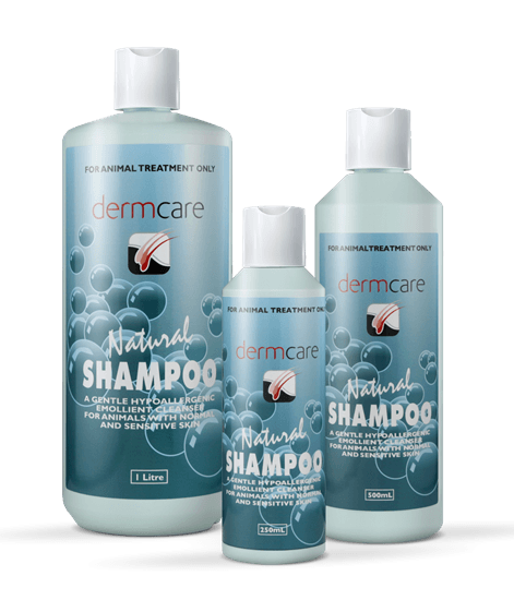 Dermcare – Natural Shampoo - The Pet Standard