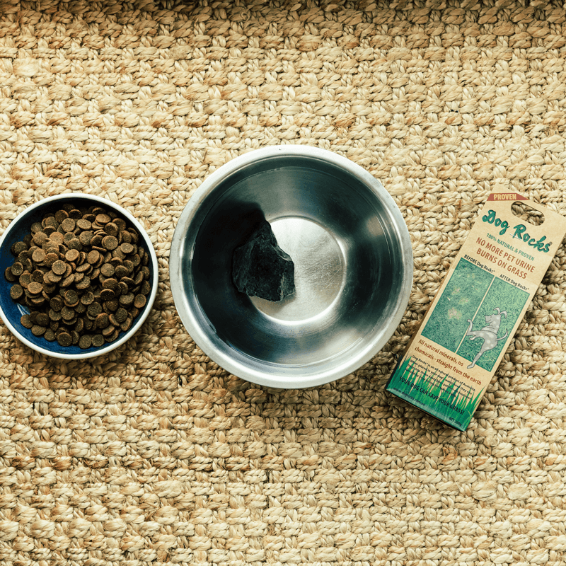 Dog Rocks - Dog Pee Rocks