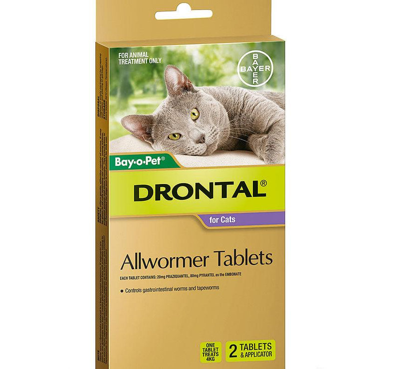 Drontal – Allwormer – Cats & Kittens - The Pet Standard