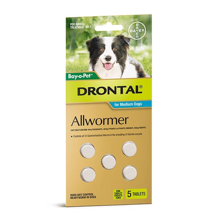 Drontal – Allwormer - The Pet Standard