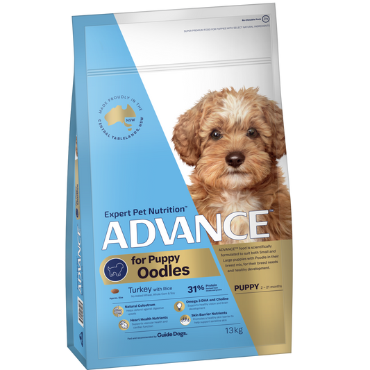 Advance – Puppy – Oodles