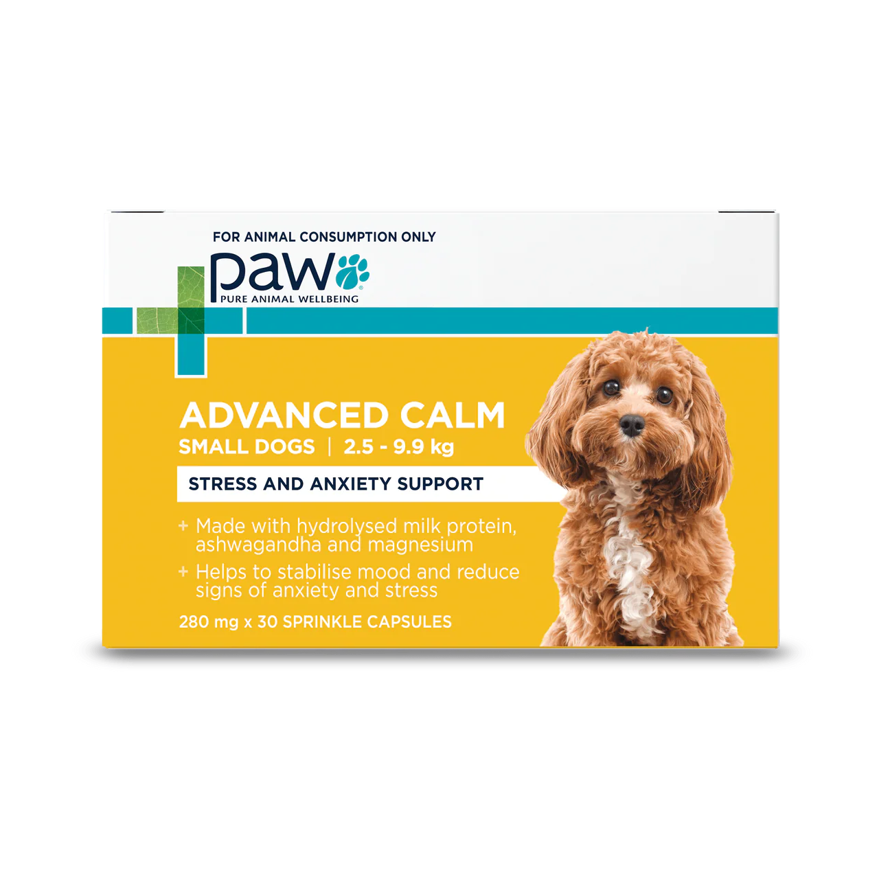 PAW – Advanced Calm - image 2