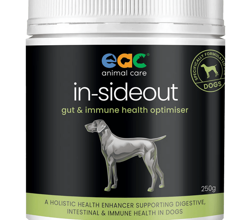 EAC Animal Care – In-Sideout Gut & Immune Health Optimiser for Dogs - The Pet Standard