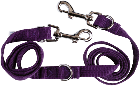 Dog Lead Adjustable Webbing