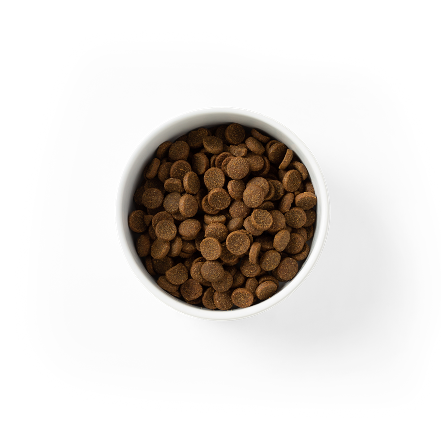 SavourLife – Adult Dog – Essentials – Australian Chicken