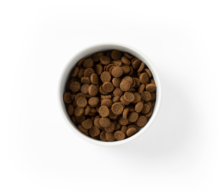 SavourLife – Adult Dog – Essentials – Australian Chicken