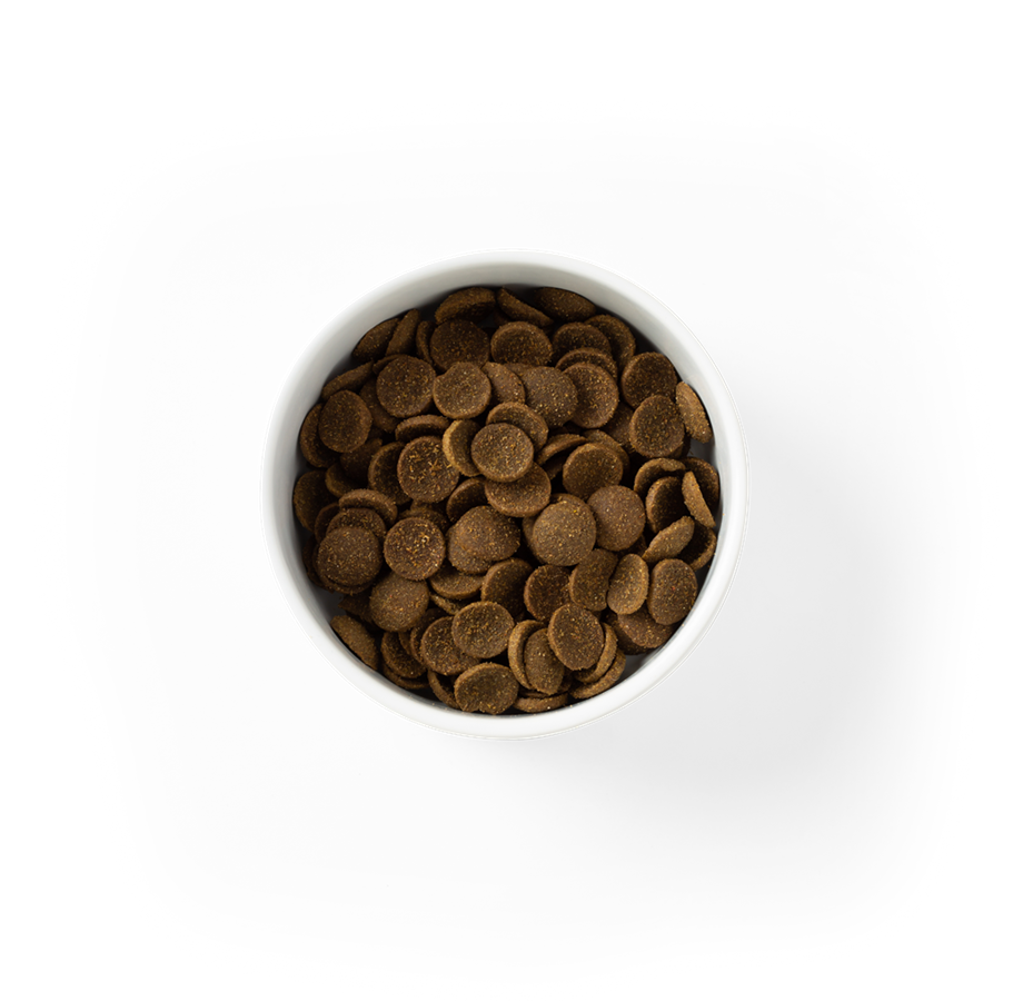 SavourLife – For Large Breed Adult Dog – Essentials – Australian Chicken