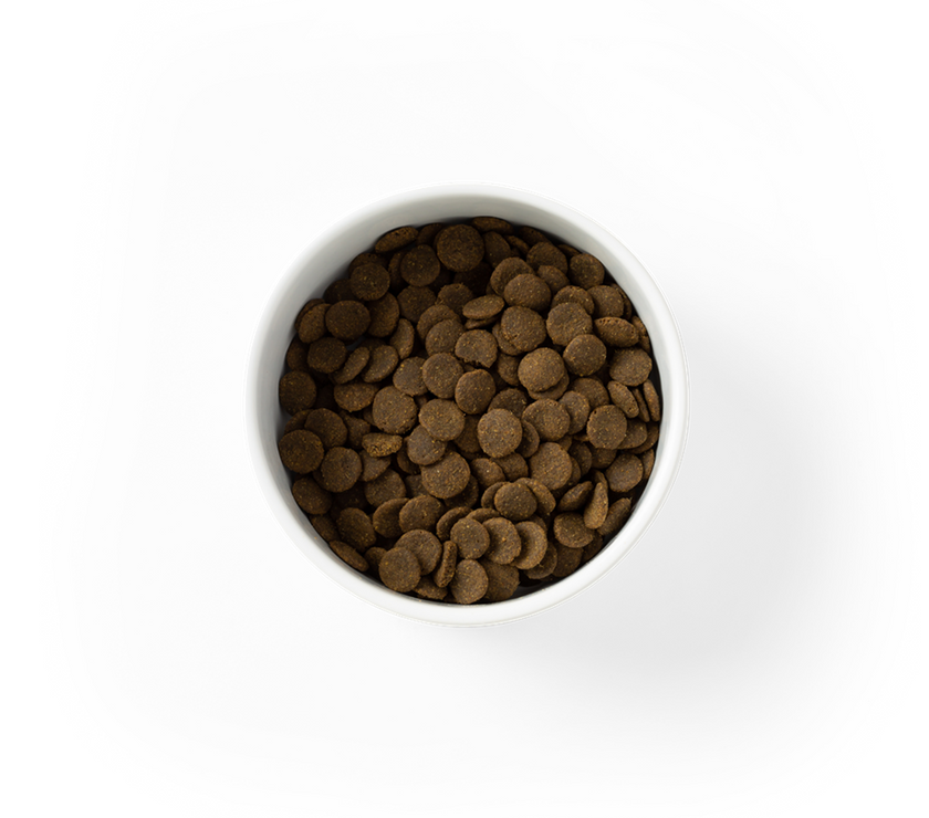 SavourLife – Adult Dog Food – Care plus – GRAIN FREE – Sensitive with Australian Ocean Fish
