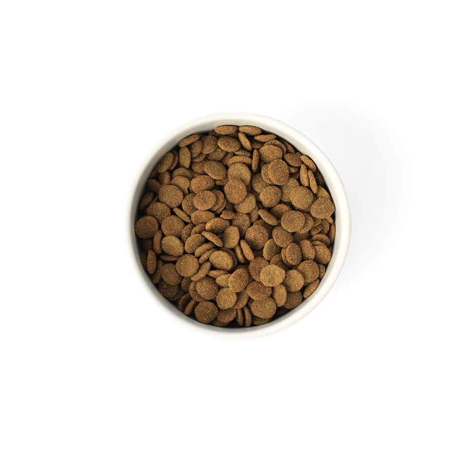 Adult Dog Food Dry – Care plus – GRAIN FREE – Lean Australian Turkey - SavourLife