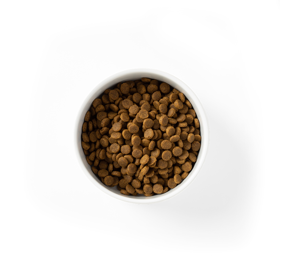 SavourLife – For Puppies – GRAIN FREE – Australian Chicken - image 4