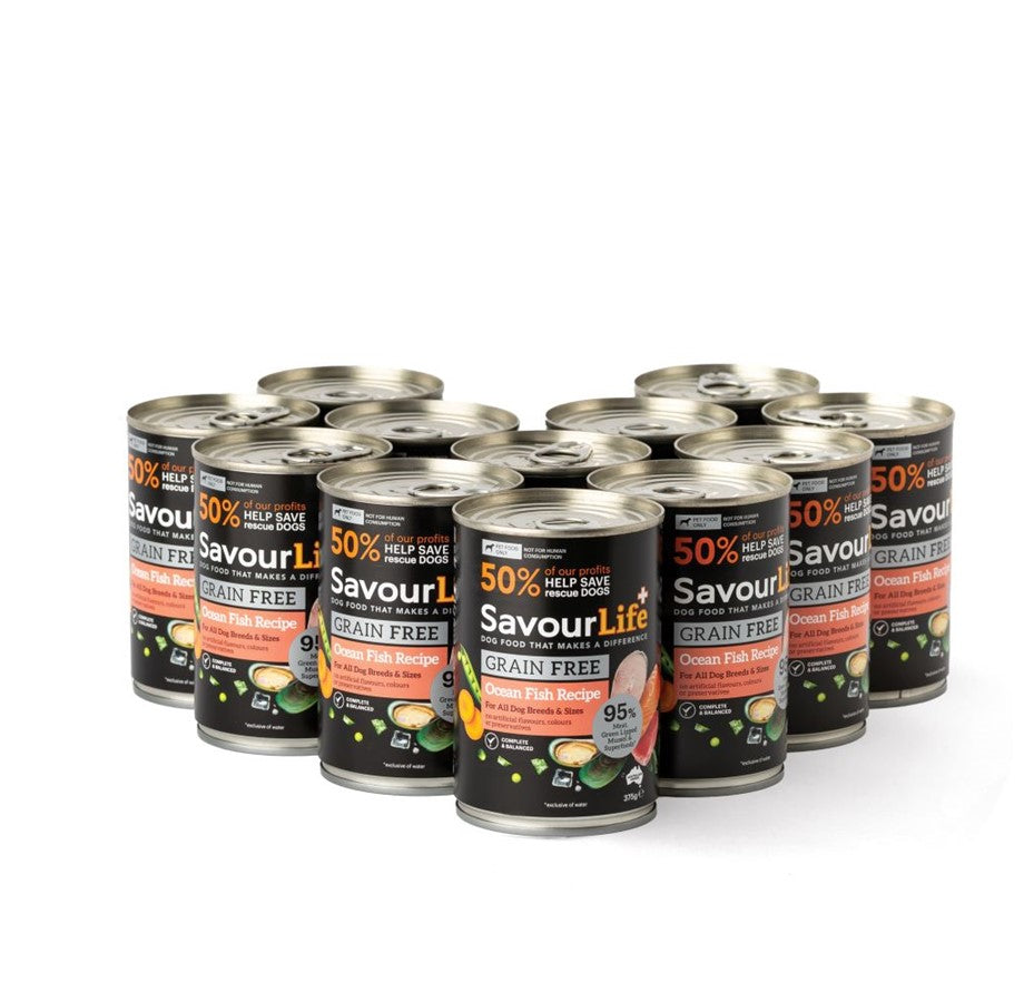 Wet Food Dog Adult - GRAIN FREE - image 12